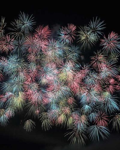 Prof. Sita Devi Adhikari